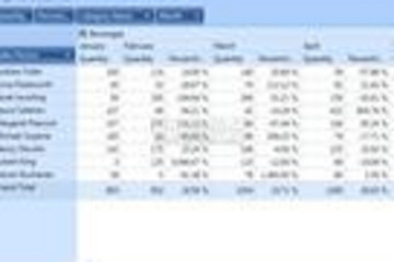 DevExpress Silverlight Controls预览：